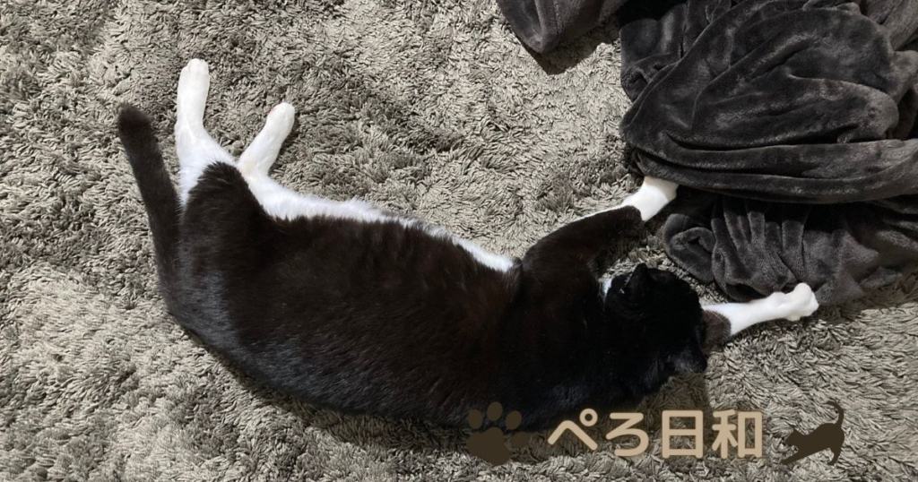 ふみふみするぺろ
