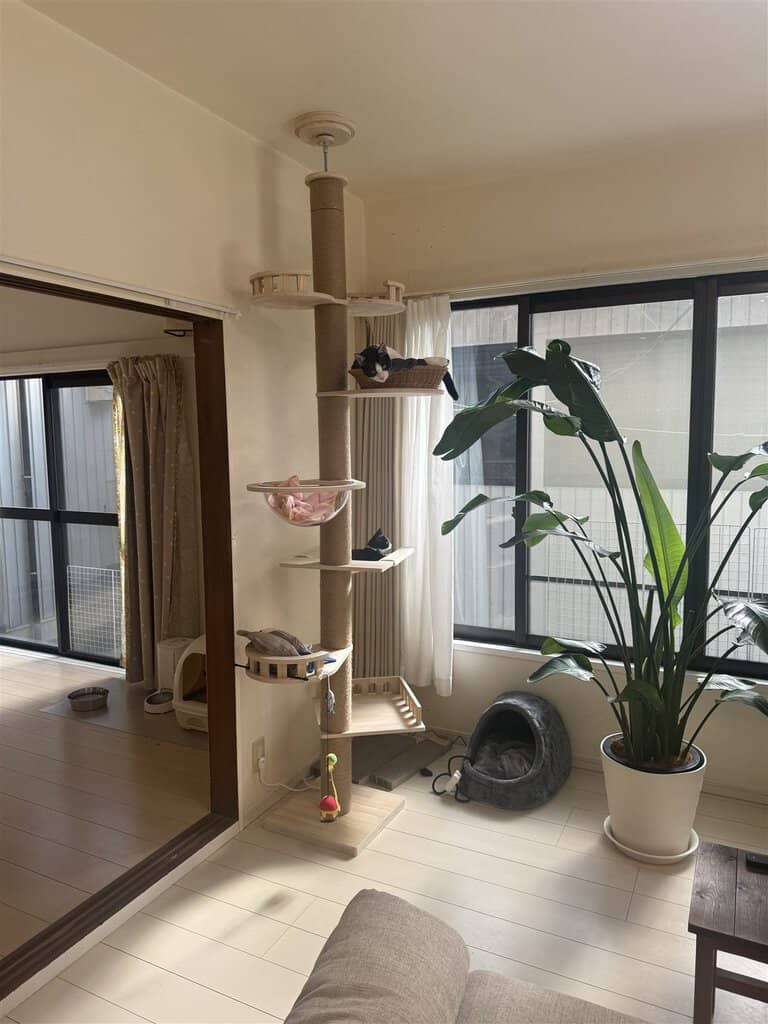 部屋の隅に置いた突っ張りキャットタワー